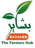 bashaier